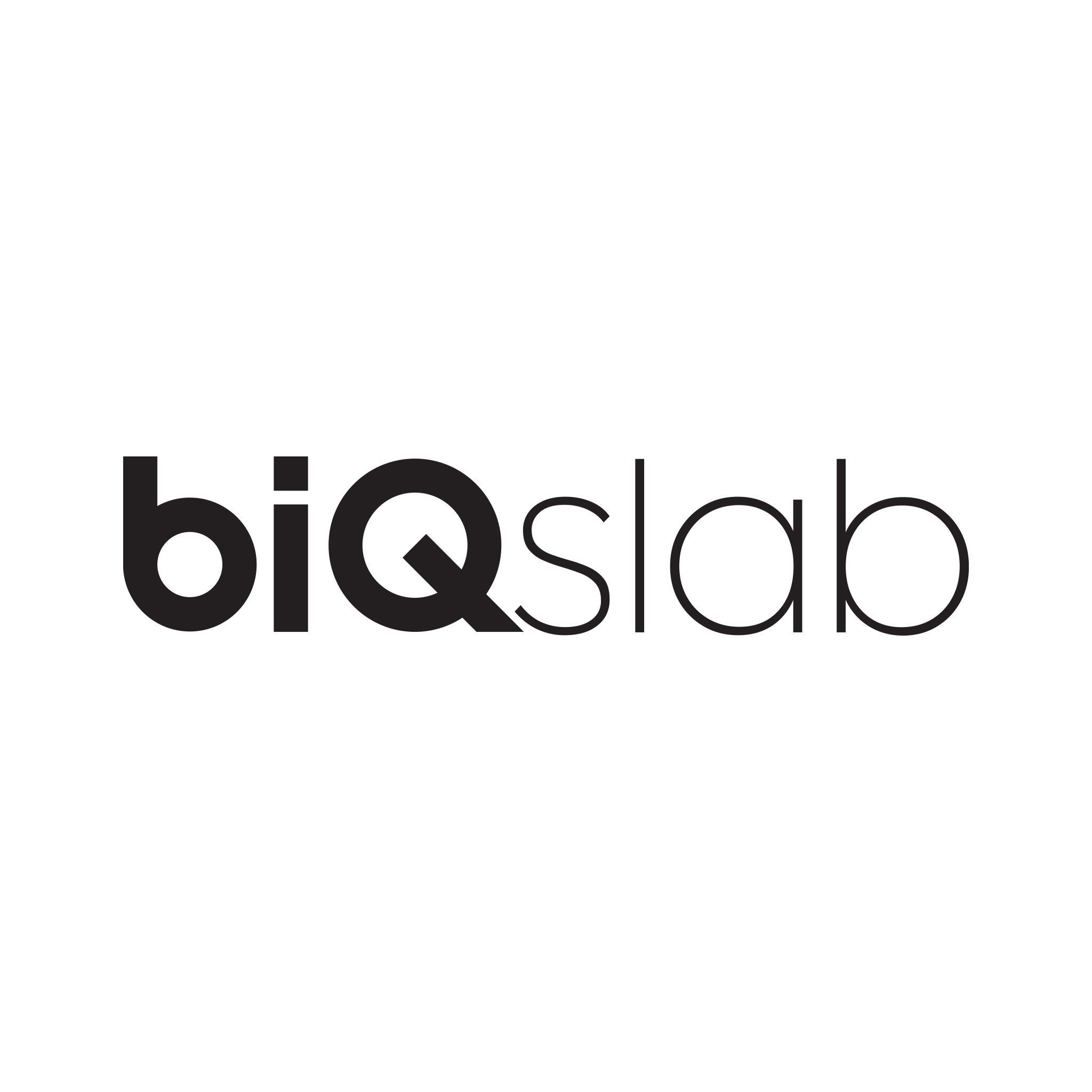 Biqslab Logo Siyah